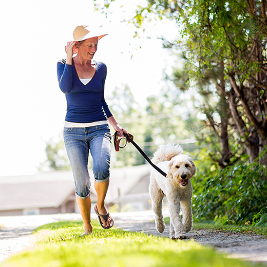 Woman walking a dog photo